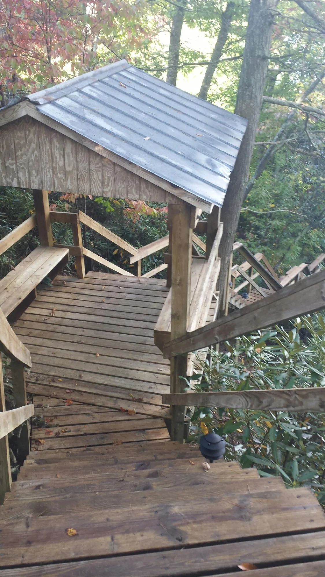 Metal roofed shelter over wooden steps on a wooded walkway — Skylight Repair & Installation work by our crew in Maple Falls