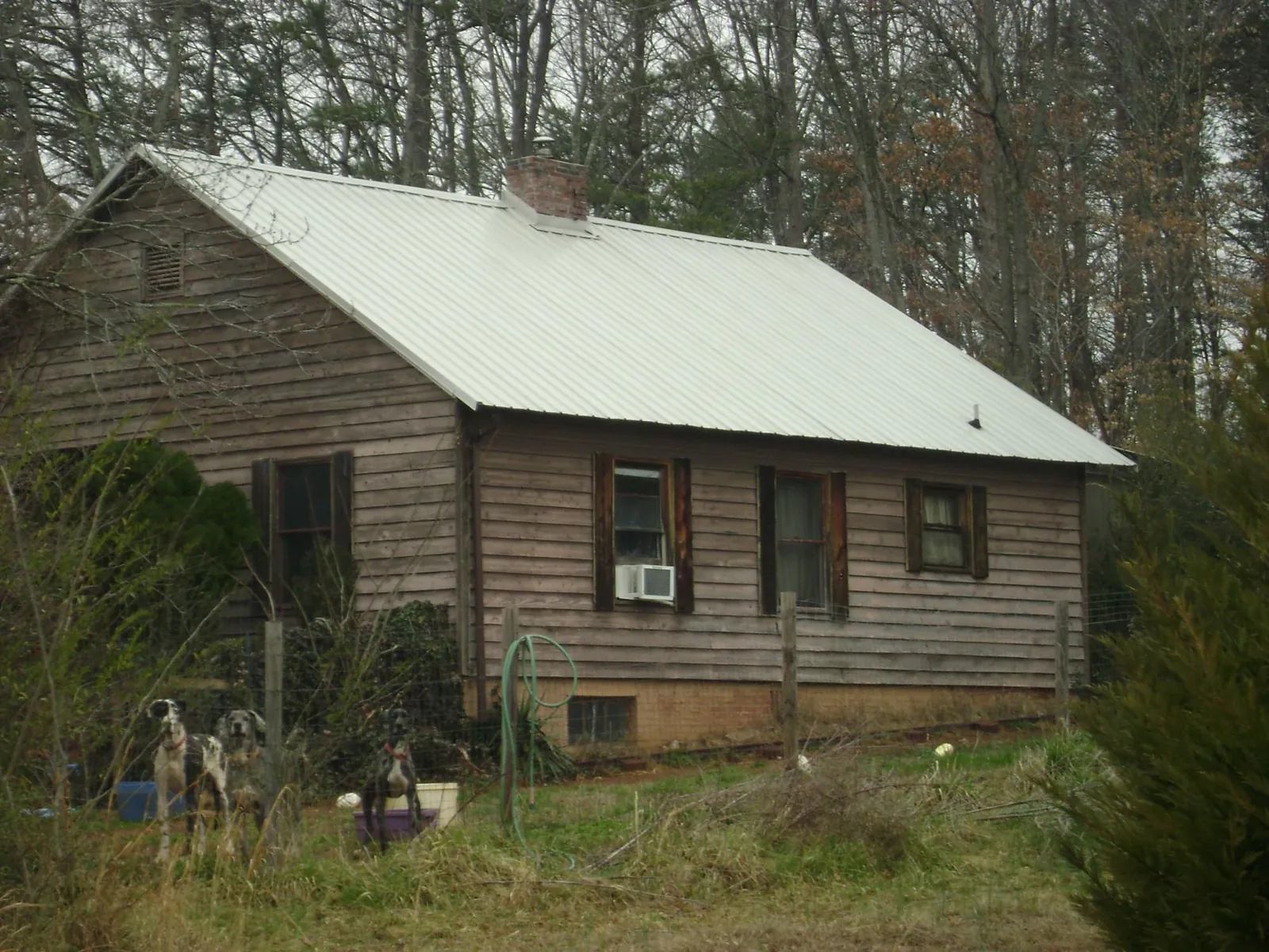 White metal roof on an old wood sided farmhouse, from a Metal Roof Installation job in Maple Falls